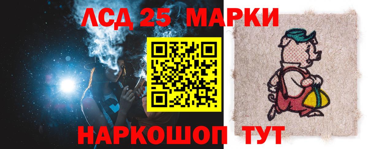 МЕФ Владимир