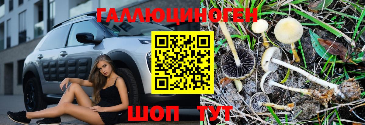 Псилоцибиновые грибы Magic Shrooms  Галлюциногенные грибы Psilocybe  Вход с VPN  Владимир 