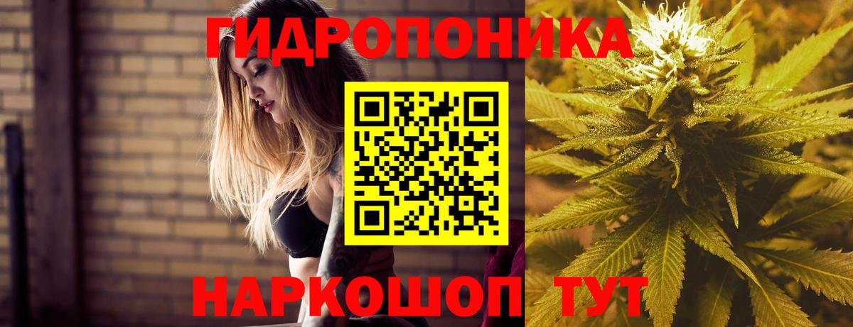 Бошки марихуана SATIVA & INDICA Владимир